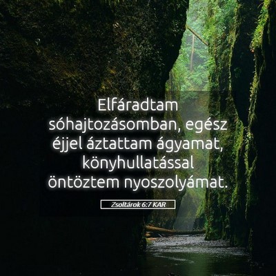 Picture 05 - Zsoltárok 6:7 KAR - Elfáradtam sóhajtozásomban, egész éjjel - Bible Verse Picture
