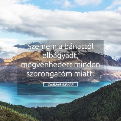 Picture 05 - Zsoltárok 6:8 KAR - Szemem a bánattól elbágyadt, megvénhedett - Bible Verse Picture