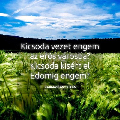 Picture 05 - Zsoltárok 60:11 KAR - Kicsoda vezet engem az erõs városba? Kicsoda - Bible Verse Picture