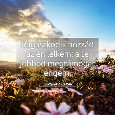 Picture 05 - Zsoltárok 63:9 KAR - Ragaszkodik hozzád az én lelkem; a te jobbod - Bible Verse Picture