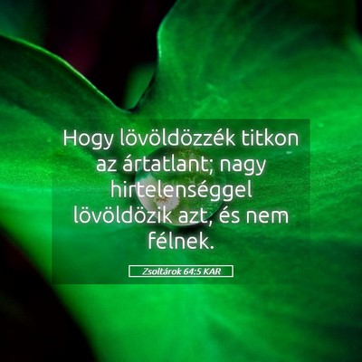 Picture 05 - Zsoltárok 64:5 KAR - Hogy lövöldözzék titkon az ártatlant; nagy - Bible Verse Picture