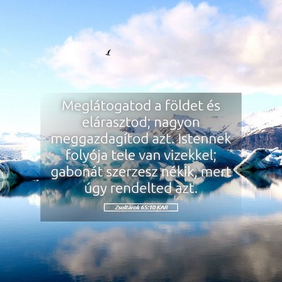 Picture 05 - Zsoltárok 65:10 KAR - Meglátogatod a földet és elárasztod; nagyon - Bible Verse Picture