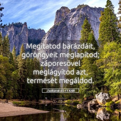 Picture 05 - Zsoltárok 65:11 KAR - Megitatod barázdáit, göröngyeit meglapítod; - Bible Verse Picture