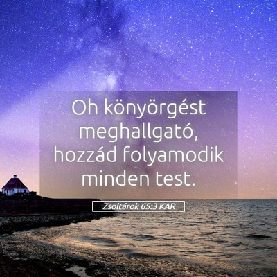 Picture 05 - Zsoltárok 65:3 KAR - Oh könyörgést meghallgató, hozzád folyamodik - Bible Verse Picture