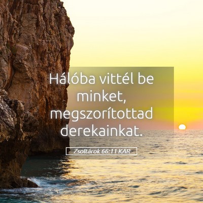 Picture 05 - Zsoltárok 66:11 KAR - Hálóba vittél be minket, megszorítottad - Bible Verse Picture