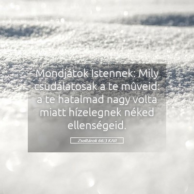 Picture 05 - Zsoltárok 66:3 KAR - Mondjátok Istennek: Mily csudálatosak a te - Bible Verse Picture