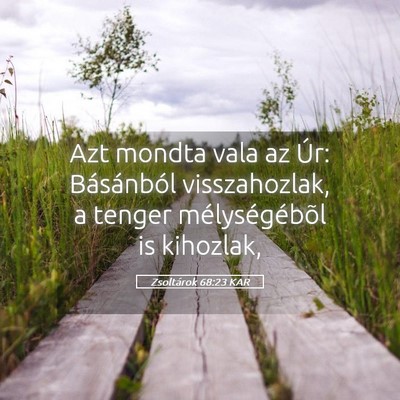 Picture 05 - Zsoltárok 68:23 KAR - Azt mondta vala az Úr: Básánból visszahozlak, - Bible Verse Picture