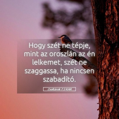 Picture 05 - Zsoltárok 7:3 KAR - Hogy szét ne tépje, mint az oroszlán az én - Bible Verse Picture