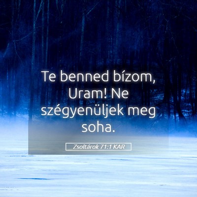 Picture 05 - Zsoltárok 71:1 KAR - Te benned bízom, Uram! Ne szégyenüljek meg - Bible Verse Picture