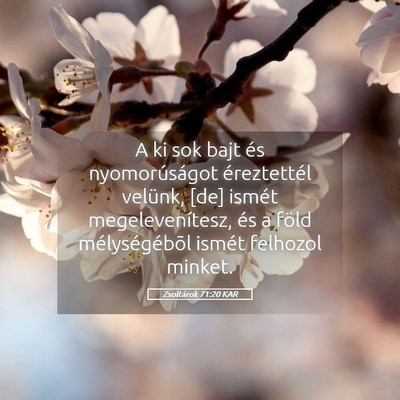 Picture 05 - Zsoltárok 71:20 KAR - A ki sok bajt és nyomorúságot éreztettél - Bible Verse Picture