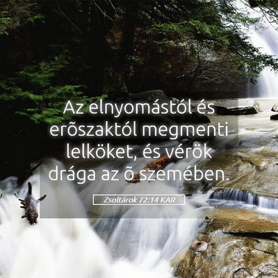 Picture 05 - Zsoltárok 72:14 KAR - Az elnyomástól és erõszaktól megmenti - Bible Verse Picture