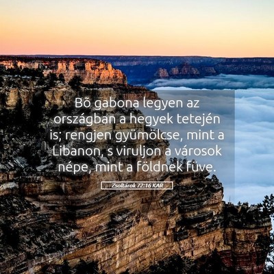 Picture 05 - Zsoltárok 72:16 KAR - Bõ gabona legyen az országban a hegyek tetején - Bible Verse Picture
