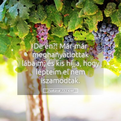 Picture 05 - Zsoltárok 73:2 KAR - De én?! Már-már meghanyatlottak lábaim; és - Bible Verse Picture