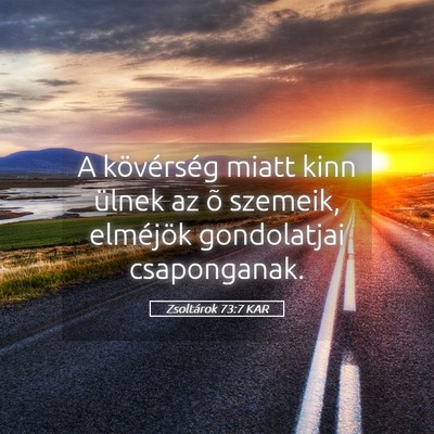 Picture 05 - Zsoltárok 73:7 KAR - A kövérség miatt kinn ülnek az õ szemeik, - Bible Verse Picture
