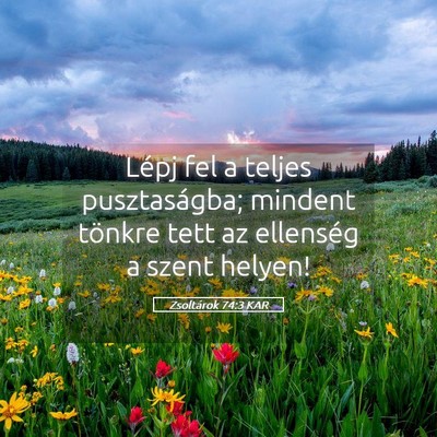 Picture 05 - Zsoltárok 74:3 KAR - Lépj fel a teljes pusztaságba; mindent tönkre - Bible Verse Picture