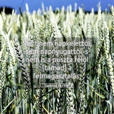 Picture 05 - Zsoltárok 75:7 KAR - Mert nem napkelettõl, sem napnyugattól, s nem - Bible Verse Picture