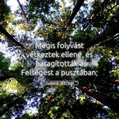 Picture 05 - Zsoltárok 78:17 KAR - Mégis folyvást vétkeztek ellene, és - Bible Verse Picture