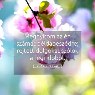 Picture 05 - Zsoltárok 78:2 KAR - Megnyitom az én számat példabeszédre; rejtett - Bible Verse Picture