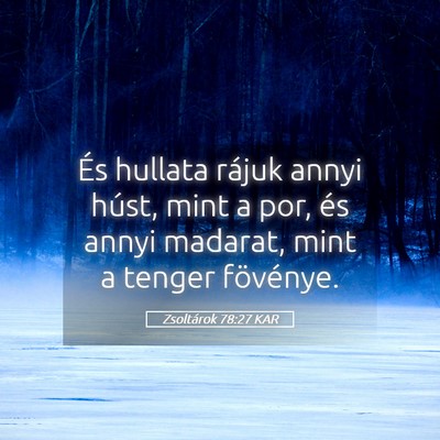 Picture 05 - Zsoltárok 78:27 KAR - És hullata rájuk annyi húst, mint a por, és - Bible Verse Picture