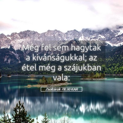 Picture 05 - Zsoltárok 78:30 KAR - Még fel sem hagytak a kivánságukkal; az étel - Bible Verse Picture