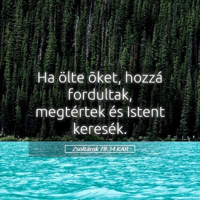 Picture 05 - Zsoltárok 78:34 KAR - Ha ölte õket, hozzá fordultak, megtértek és - Bible Verse Picture