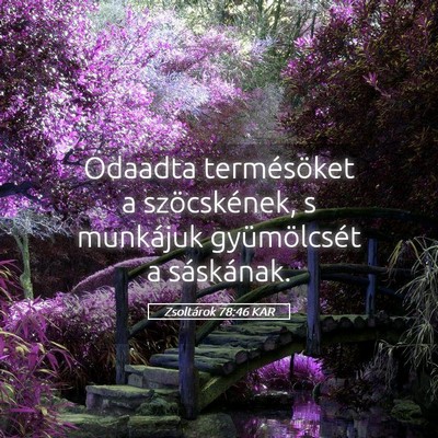 Picture 05 - Zsoltárok 78:46 KAR - Odaadta termésöket a szöcskének, s munkájuk - Bible Verse Picture