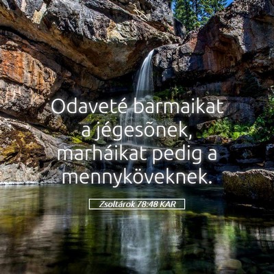 Picture 05 - Zsoltárok 78:48 KAR - Odaveté barmaikat a jégesõnek, marháikat - Bible Verse Picture