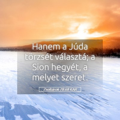 Picture 05 - Zsoltárok 78:68 KAR - Hanem a Júda törzsét választá; a Sion - Bible Verse Picture