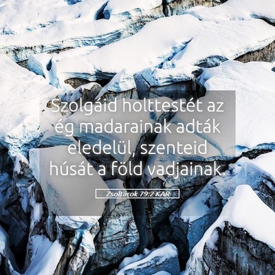 Picture 05 - Zsoltárok 79:2 KAR - Szolgáid holttestét az ég madarainak adták - Bible Verse Picture