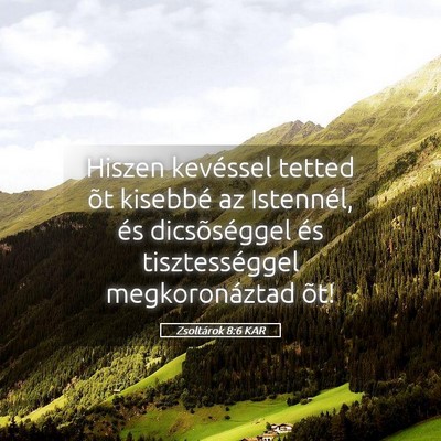 Picture 05 - Zsoltárok 8:6 KAR - Hiszen kevéssel tetted õt kisebbé az - Bible Verse Picture