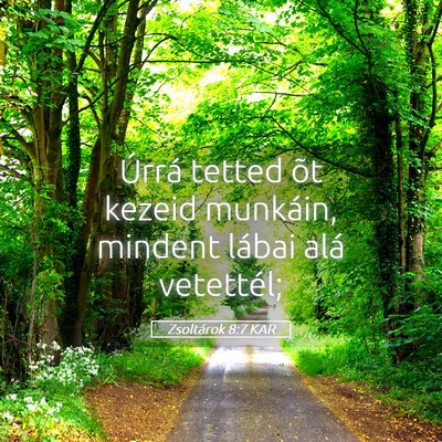Picture 05 - Zsoltárok 8:7 KAR - Úrrá tetted õt kezeid munkáin, mindent lábai - Bible Verse Picture