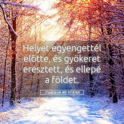 Picture 05 - Zsoltárok 80:10 KAR - Helyet egyengettél elõtte, és gyökeret - Bible Verse Picture