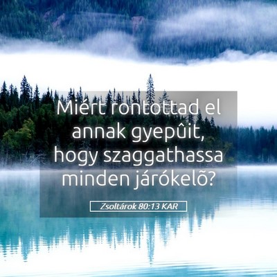 Picture 05 - Zsoltárok 80:13 KAR - Miért rontottad el annak gyepûit, hogy - Bible Verse Picture