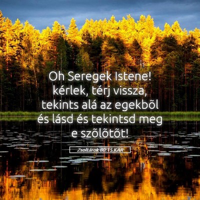 Picture 05 - Zsoltárok 80:15 KAR - Oh Seregek Istene! kérlek, térj vissza, tekints - Bible Verse Picture