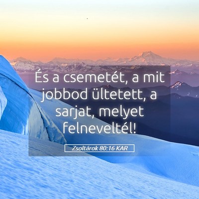 Picture 05 - Zsoltárok 80:16 KAR - És a csemetét, a mit jobbod ültetett, a - Bible Verse Picture