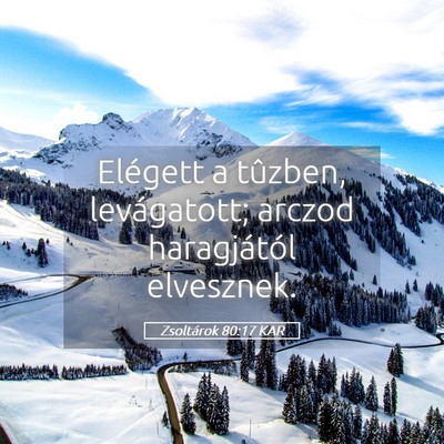 Picture 05 - Zsoltárok 80:17 KAR - Elégett a tûzben, levágatott; arczod - Bible Verse Picture