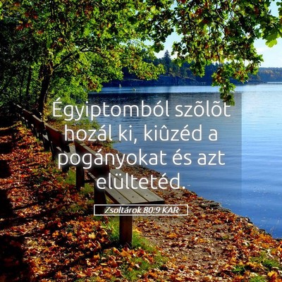 Picture 05 - Zsoltárok 80:9 KAR - Égyiptomból szõlõt hozál ki, kiûzéd a - Bible Verse Picture