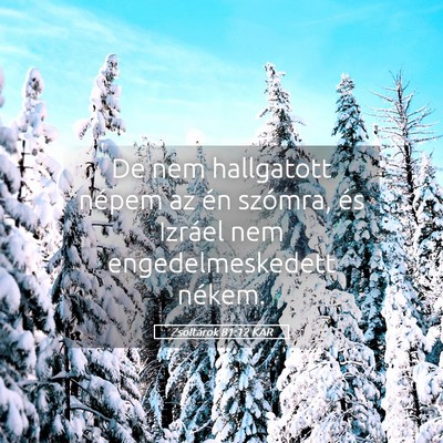 Picture 05 - Zsoltárok 81:12 KAR - De nem hallgatott népem az én szómra, és - Bible Verse Picture