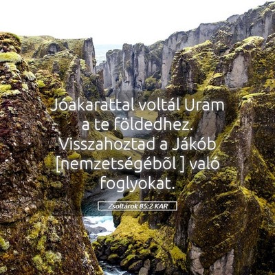 Picture 05 - Zsoltárok 85:2 KAR - Jóakarattal voltál Uram a te földedhez. - Bible Verse Picture