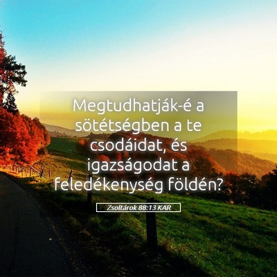 Picture 05 - Zsoltárok 88:13 KAR - Megtudhatják-é a sötétségben a te - Bible Verse Picture