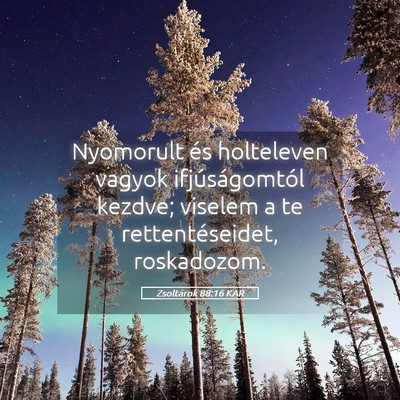 Picture 05 - Zsoltárok 88:16 KAR - Nyomorult és holteleven vagyok ifjúságomtól - Bible Verse Picture
