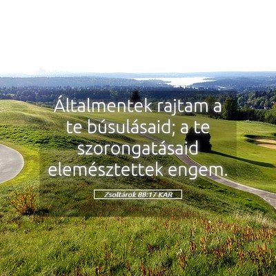 Picture 05 - Zsoltárok 88:17 KAR - Általmentek rajtam a te búsulásaid; a te - Bible Verse Picture