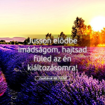 Picture 05 - Zsoltárok 88:3 KAR - Jusson elõdbe imádságom, hajtsad füled az én - Bible Verse Picture