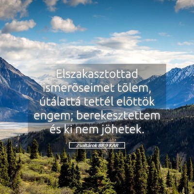 Picture 05 - Zsoltárok 88:9 KAR - Elszakasztottad ismerõseimet tõlem, útálattá - Bible Verse Picture