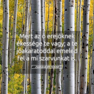 Picture 05 - Zsoltárok 89:18 KAR - Mert az õ erejöknek ékessége te vagy; a te - Bible Verse Picture