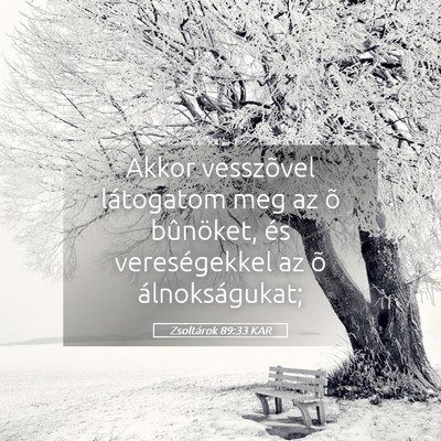 Picture 05 - Zsoltárok 89:33 KAR - Akkor vesszõvel látogatom meg az õ bûnöket, - Bible Verse Picture