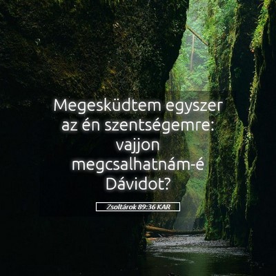 Picture 05 - Zsoltárok 89:36 KAR - Megesküdtem egyszer az én szentségemre: vajjon - Bible Verse Picture