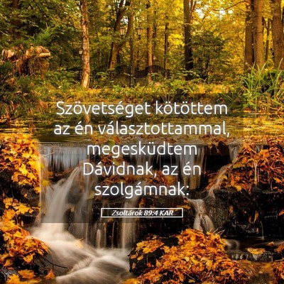 Picture 05 - Zsoltárok 89:4 KAR - Szövetséget kötöttem az én választottammal, - Bible Verse Picture