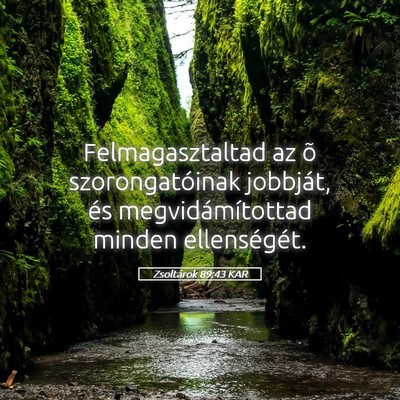 Picture 05 - Zsoltárok 89:43 KAR - Felmagasztaltad az õ szorongatóinak jobbját, - Bible Verse Picture