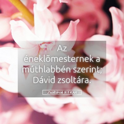 Picture 05 - Zsoltárok 9:1 KAR - Az éneklõmesternek a múthlabbén szerint; - Bible Verse Picture